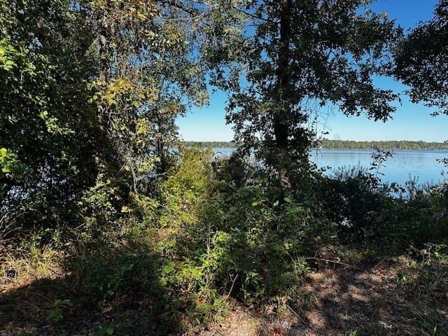 1.29 acres in Henderson County - photo 6