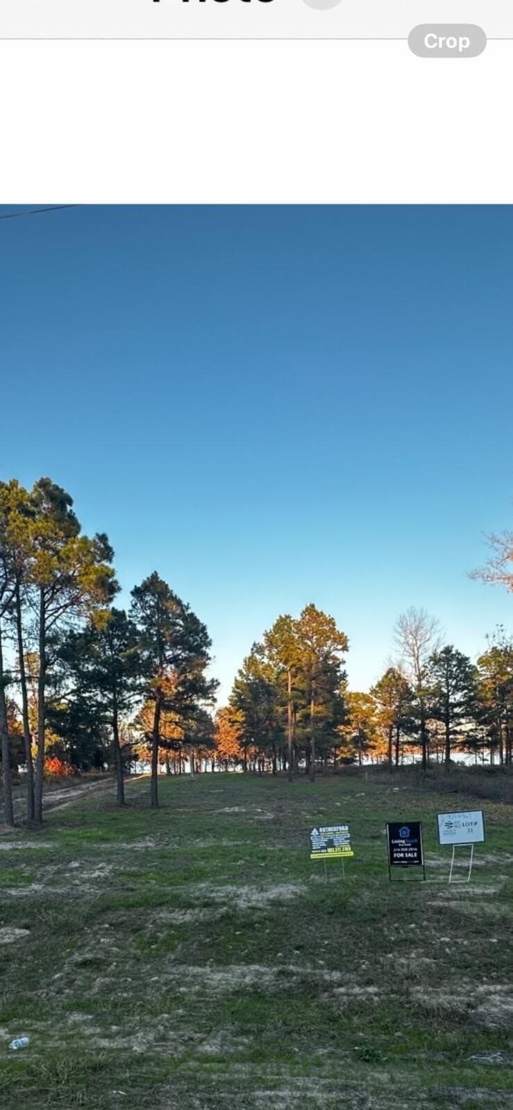 1.29 acres in Henderson County - photo 7