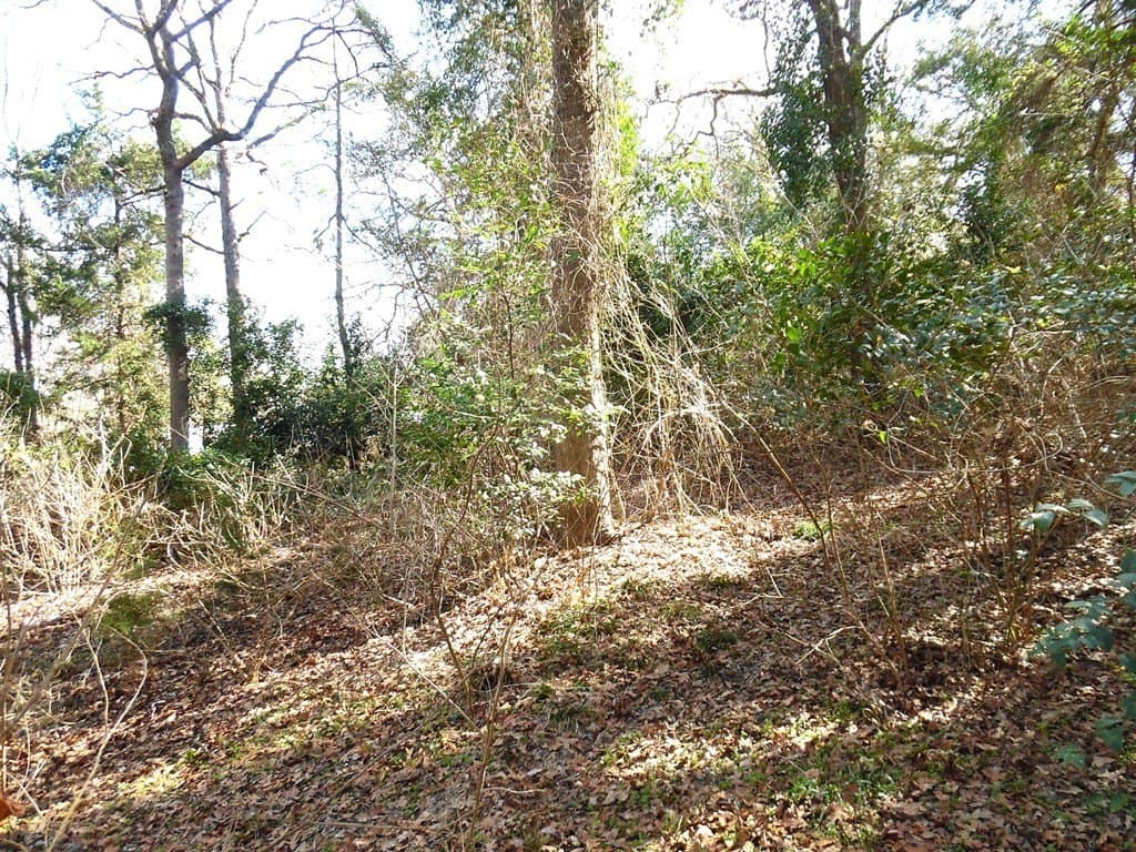 0.18 acres in Van Zandt County featured view