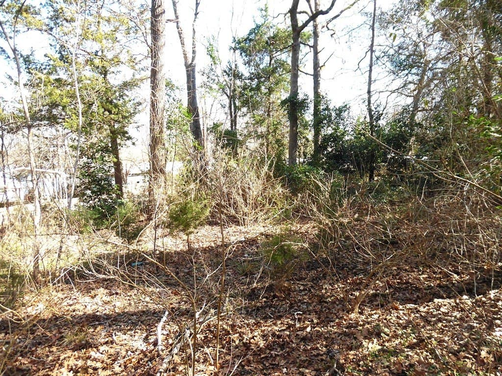 0.18 acres in Van Zandt County gallery image 3