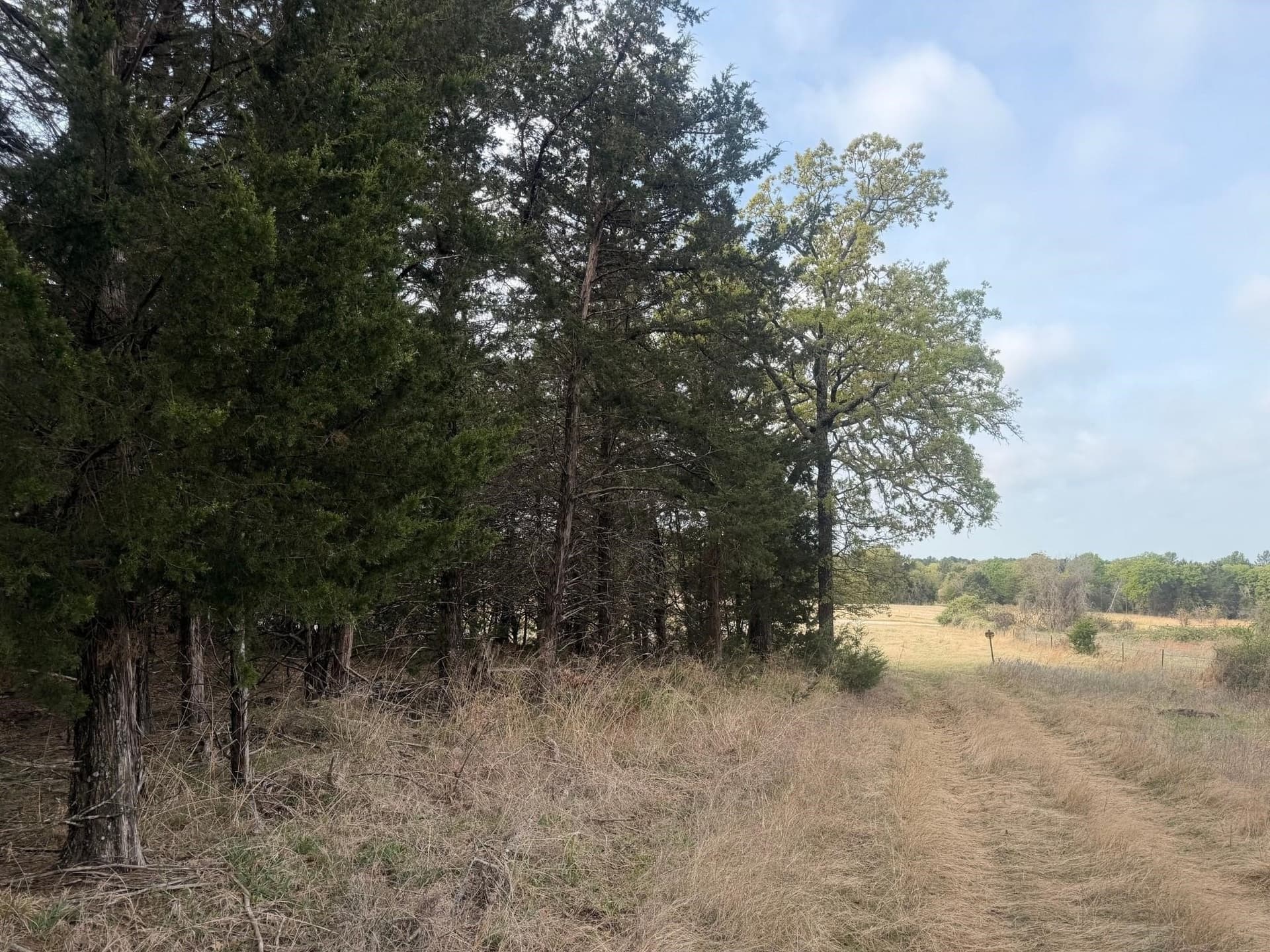 126.49 acres in Wise County - photo 29