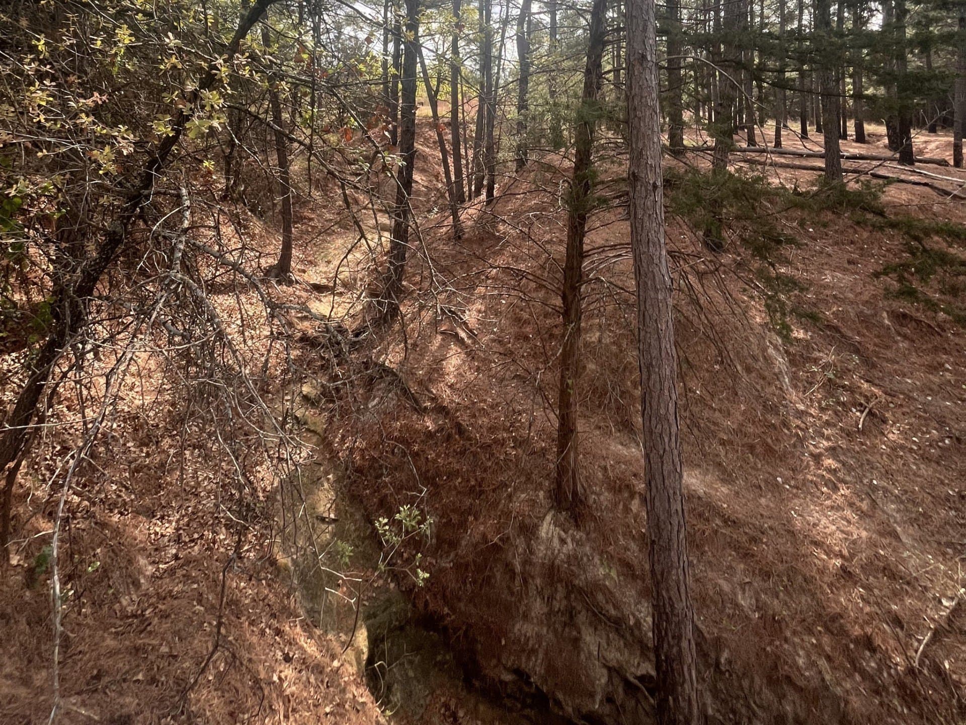 126.49 acres in Wise County - photo 27