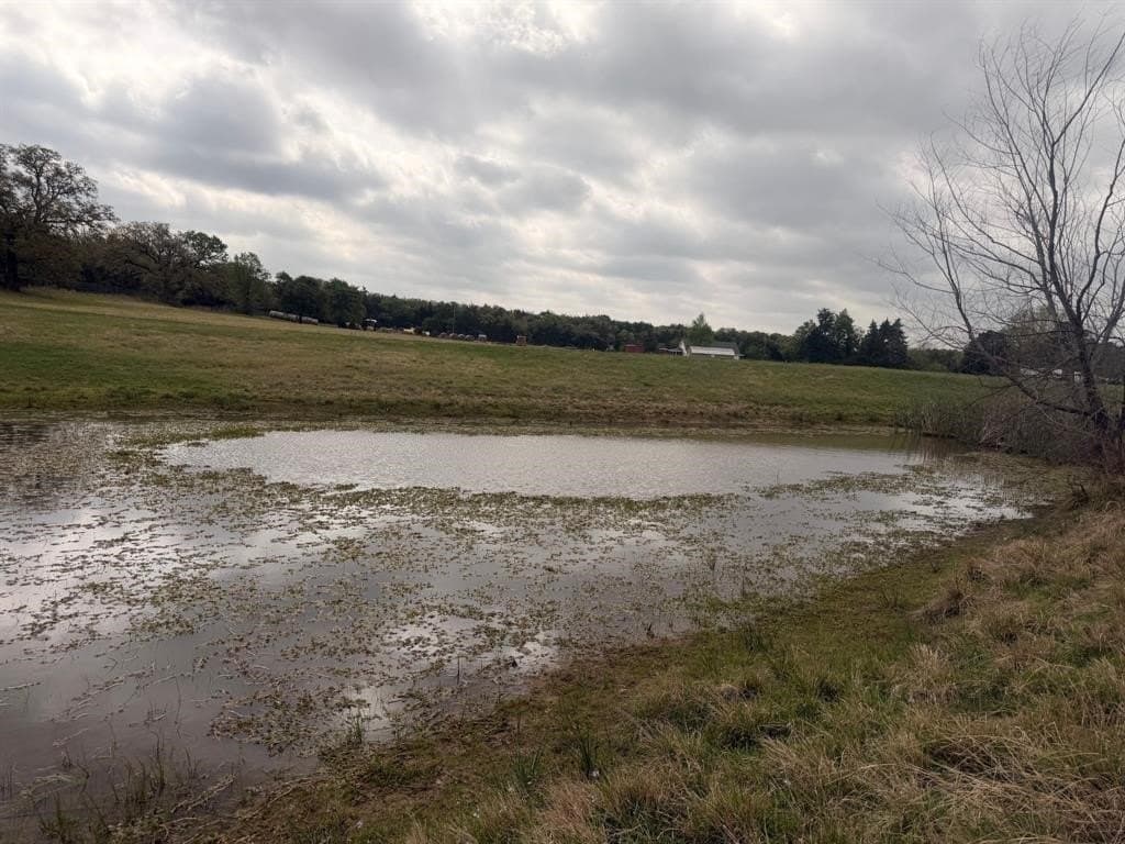 126.49 acres in Wise County - photo 20