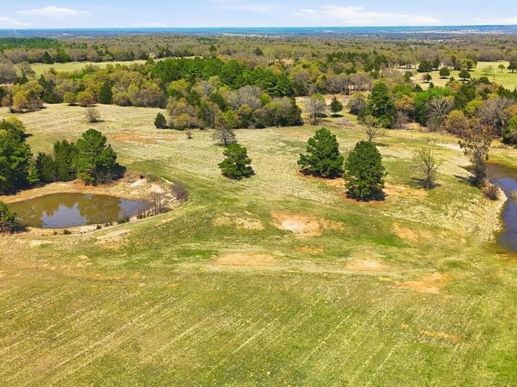 126.49 acres in Wise County gallery image 3