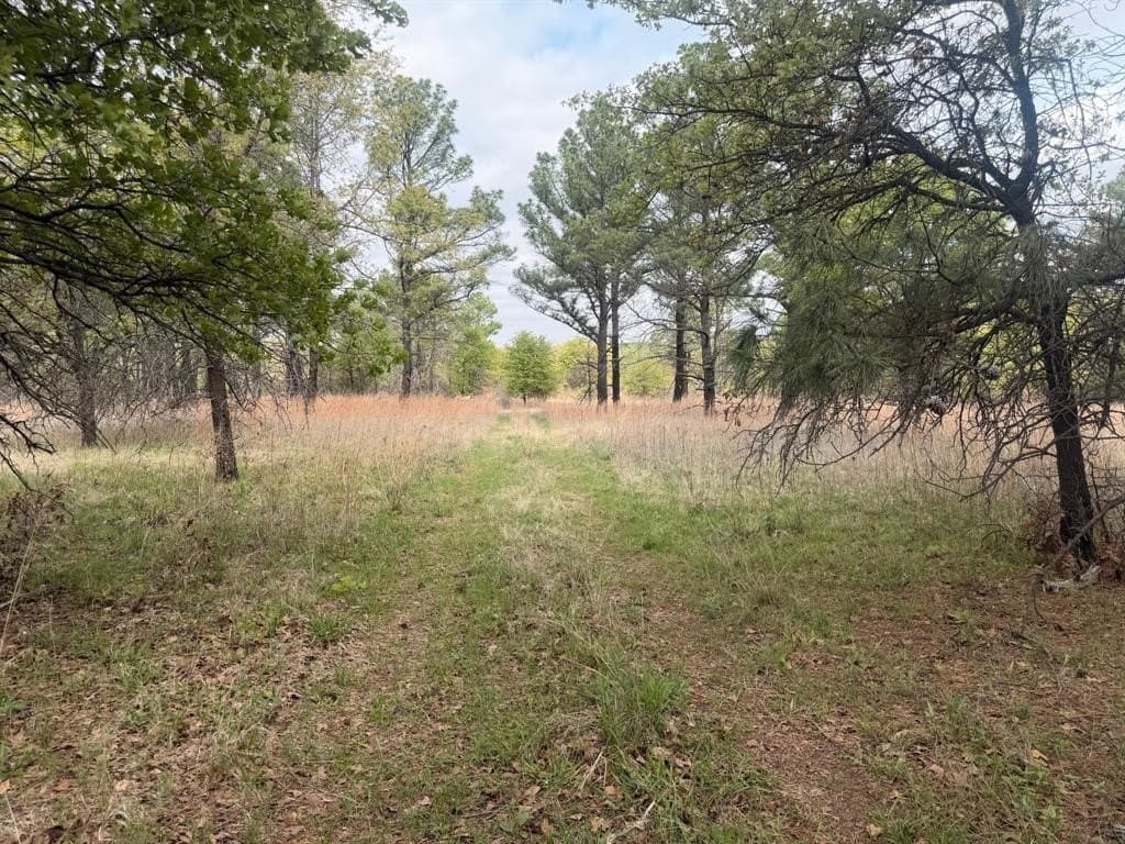 126.49 acres in Wise County - photo 32