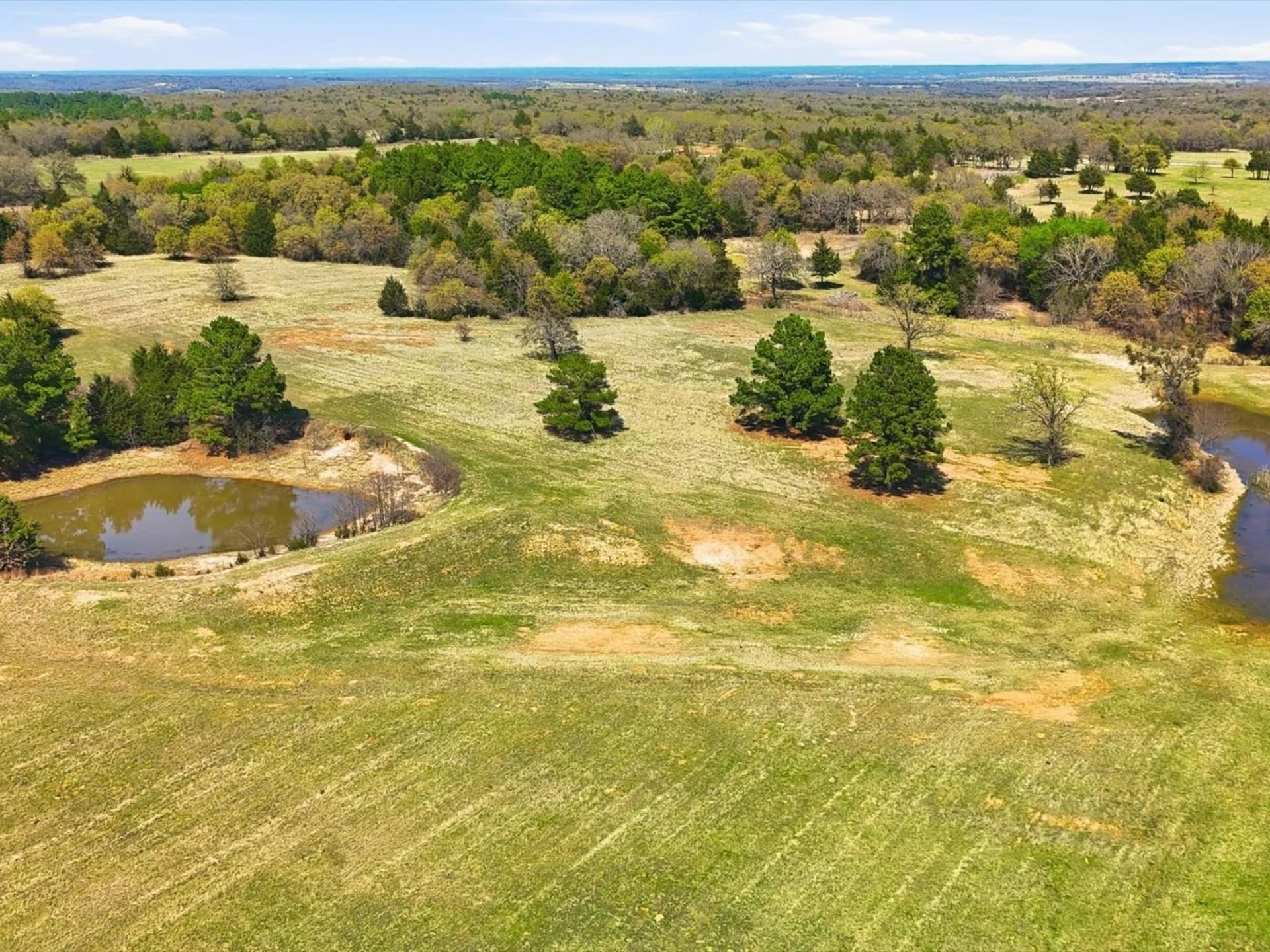 126.49 acres in Wise County gallery image 3