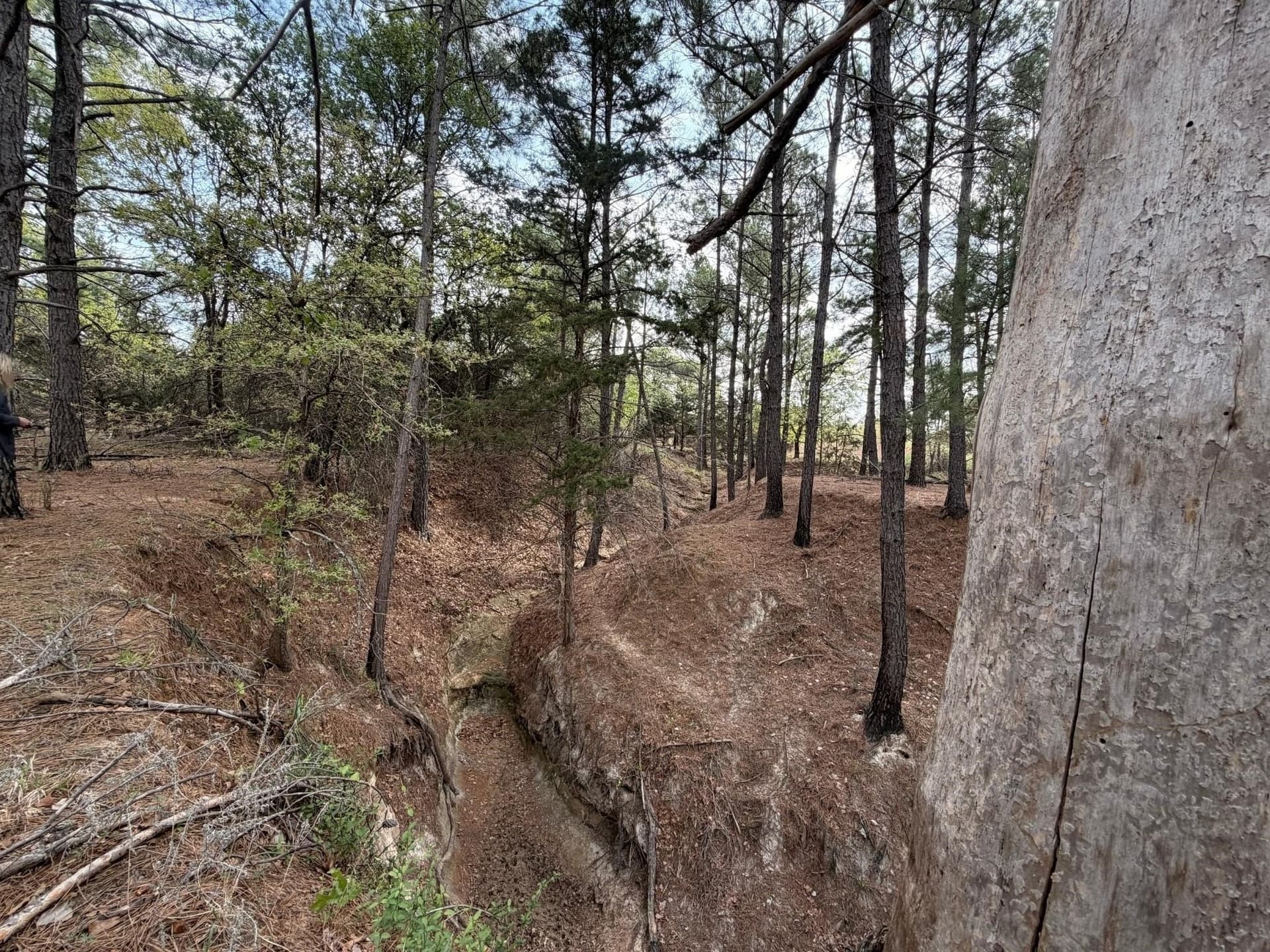 126.49 acres in Wise County - photo 28