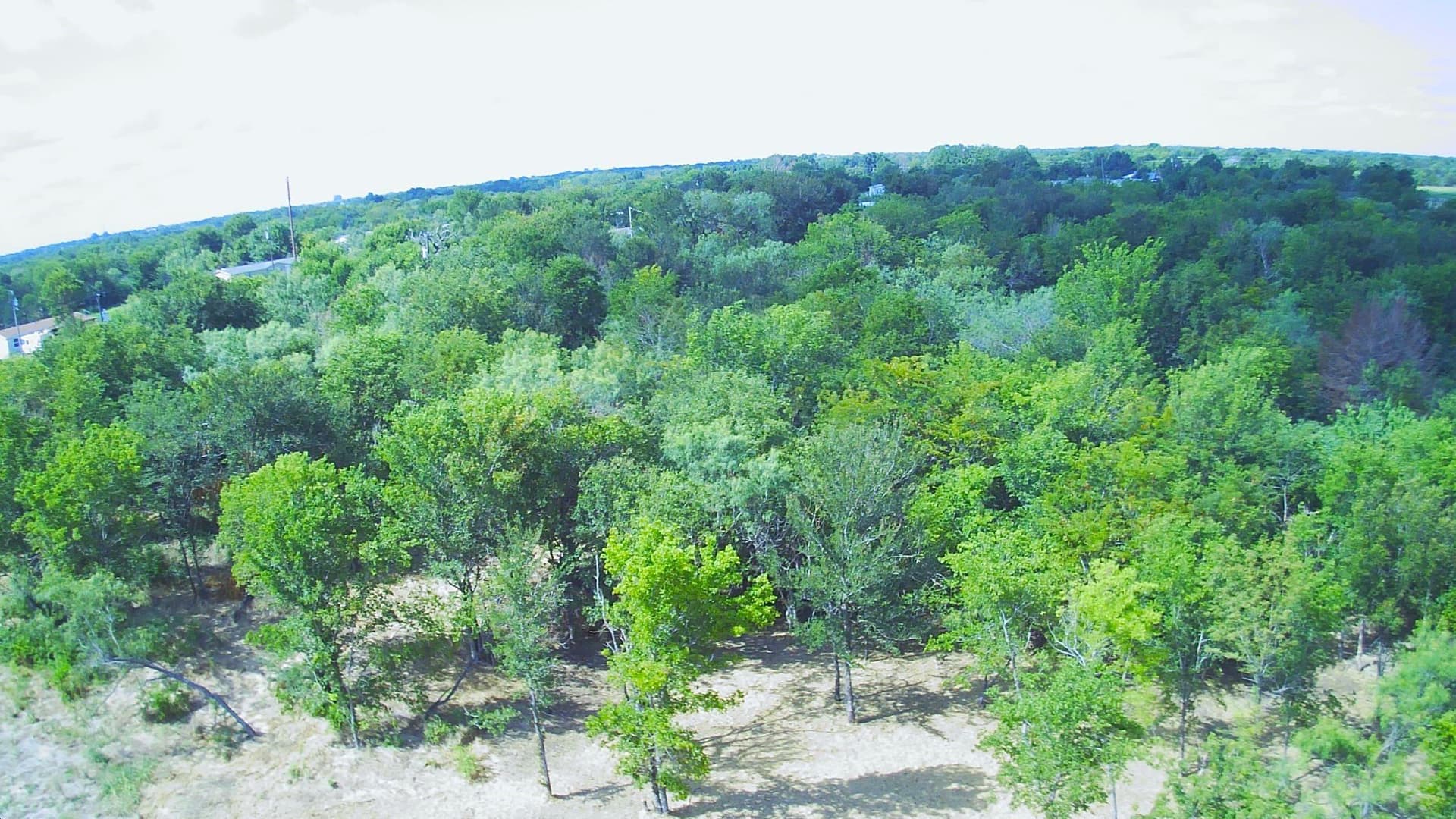 1.01 acres in Navarro County - photo 19