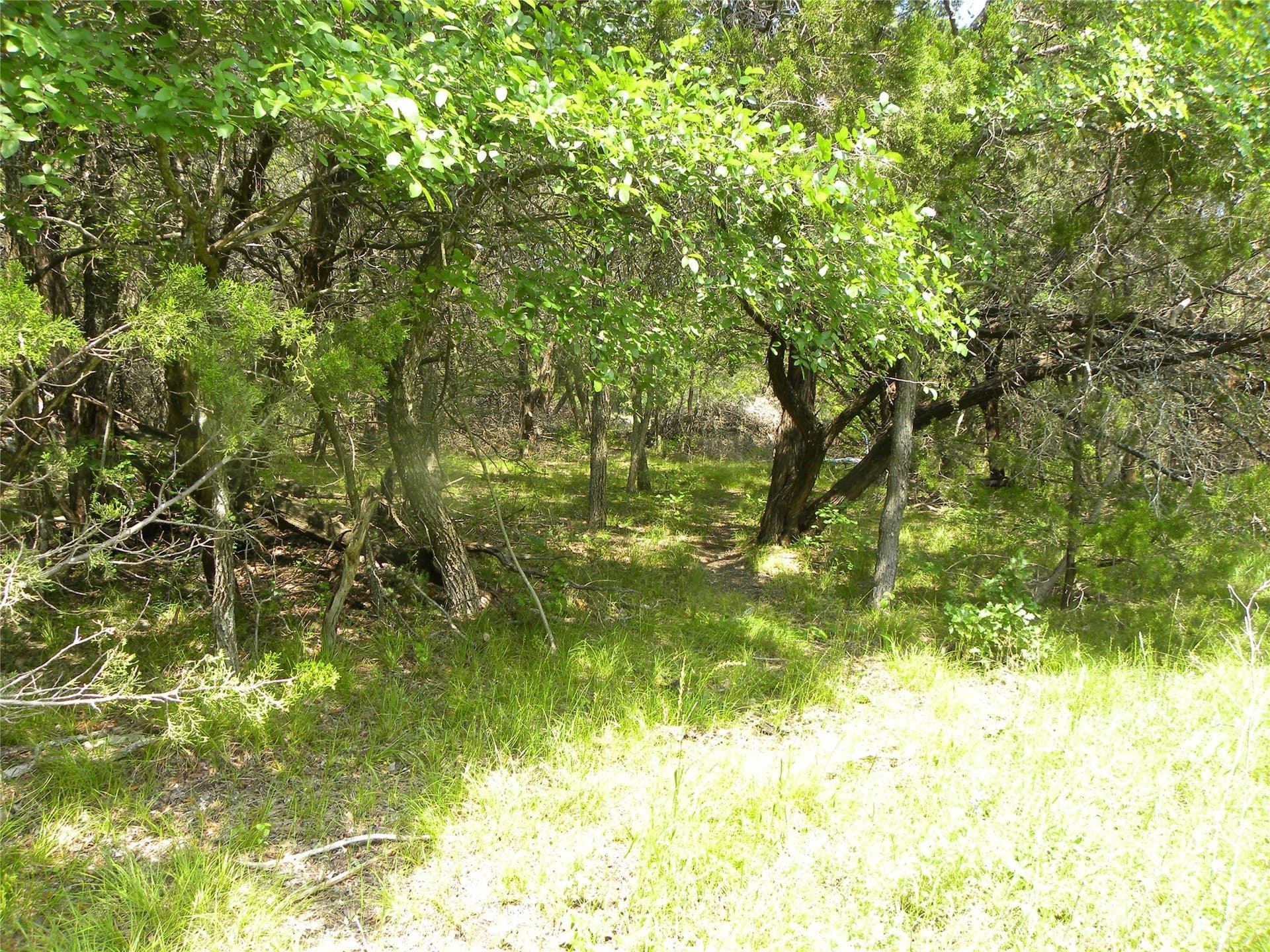 0.33 acres in Hill County - photo 7
