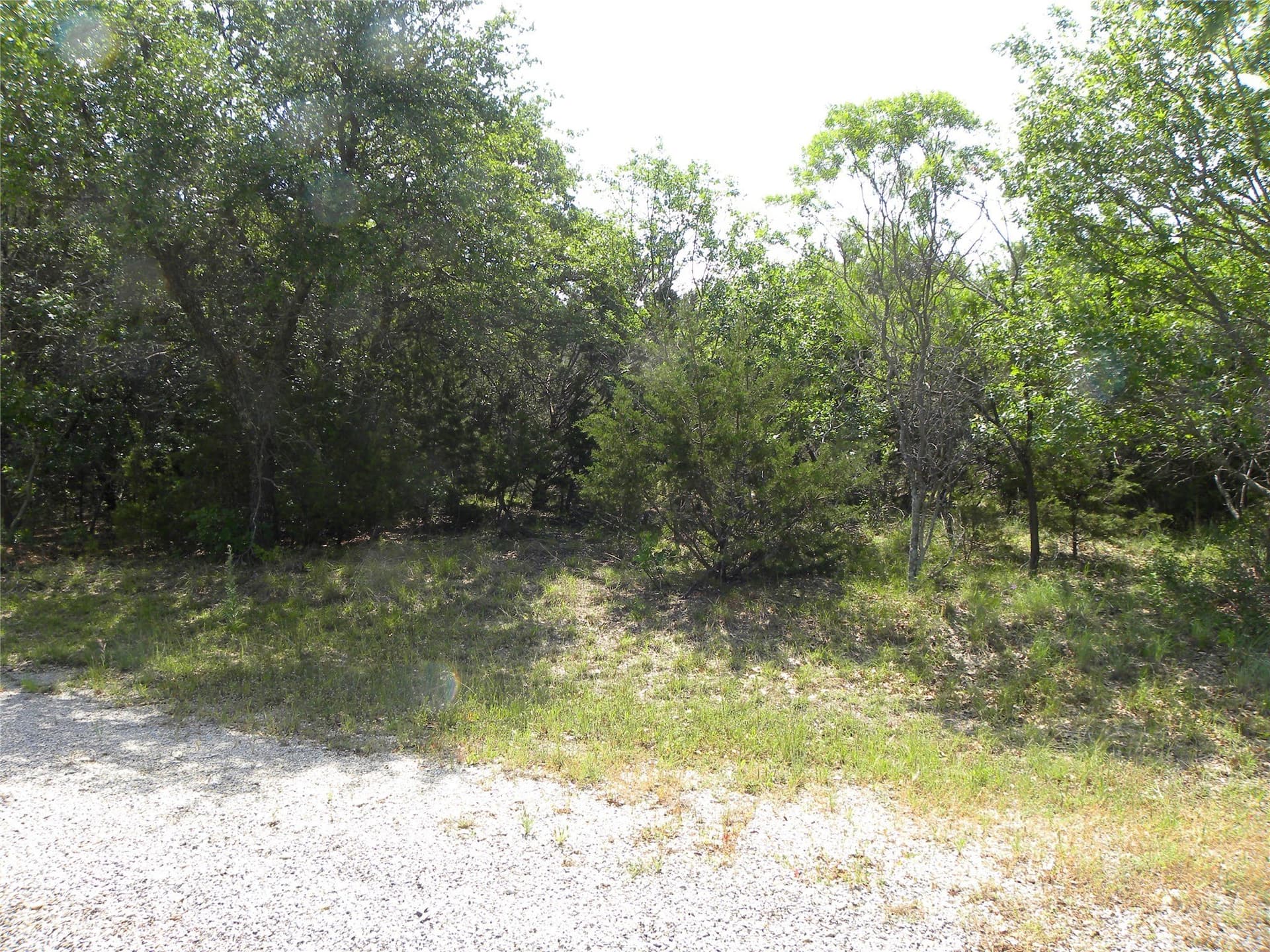 0.33 acres in Hill County gallery image 3