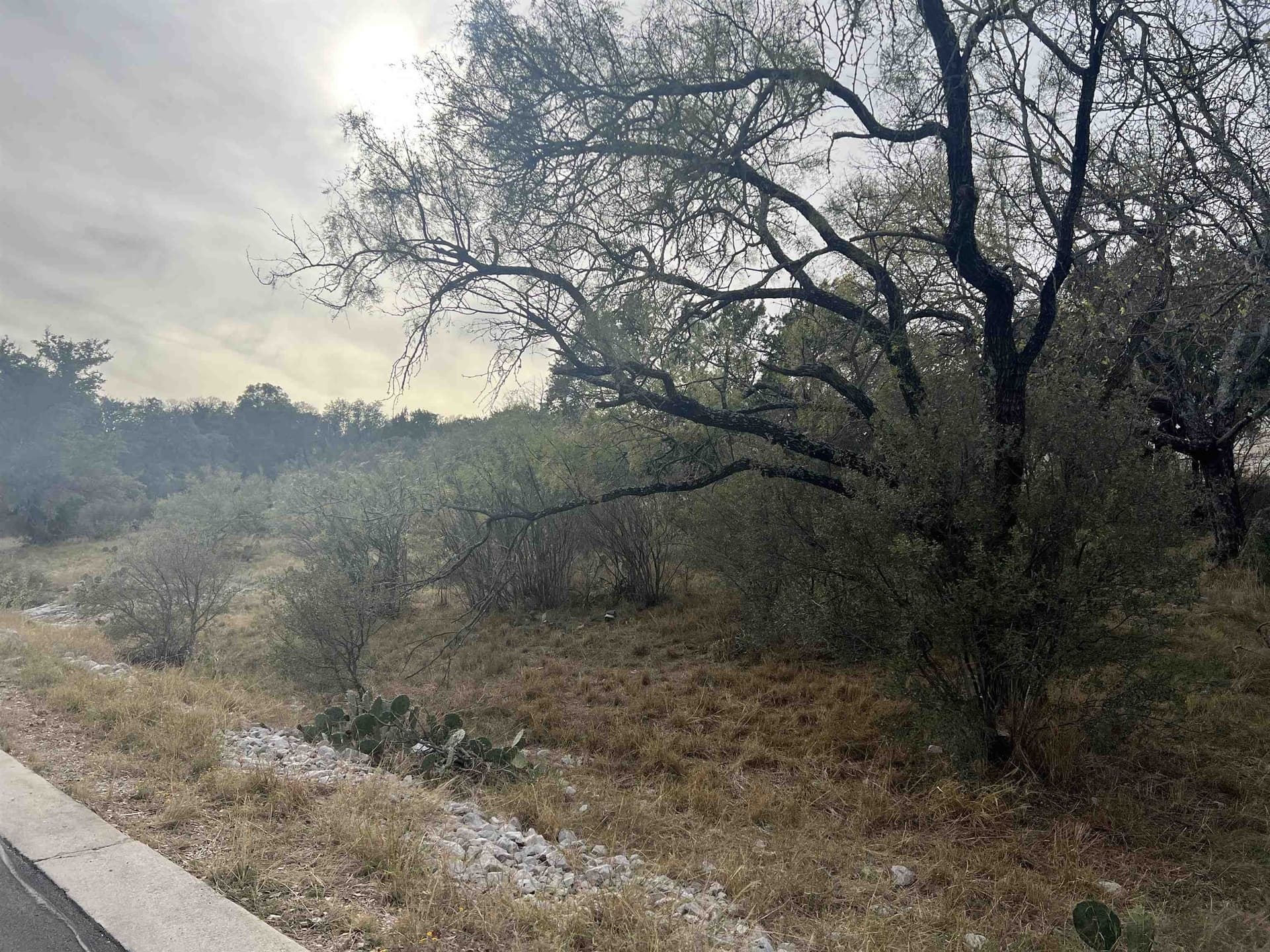0.25 acres in Llano County - photo 8