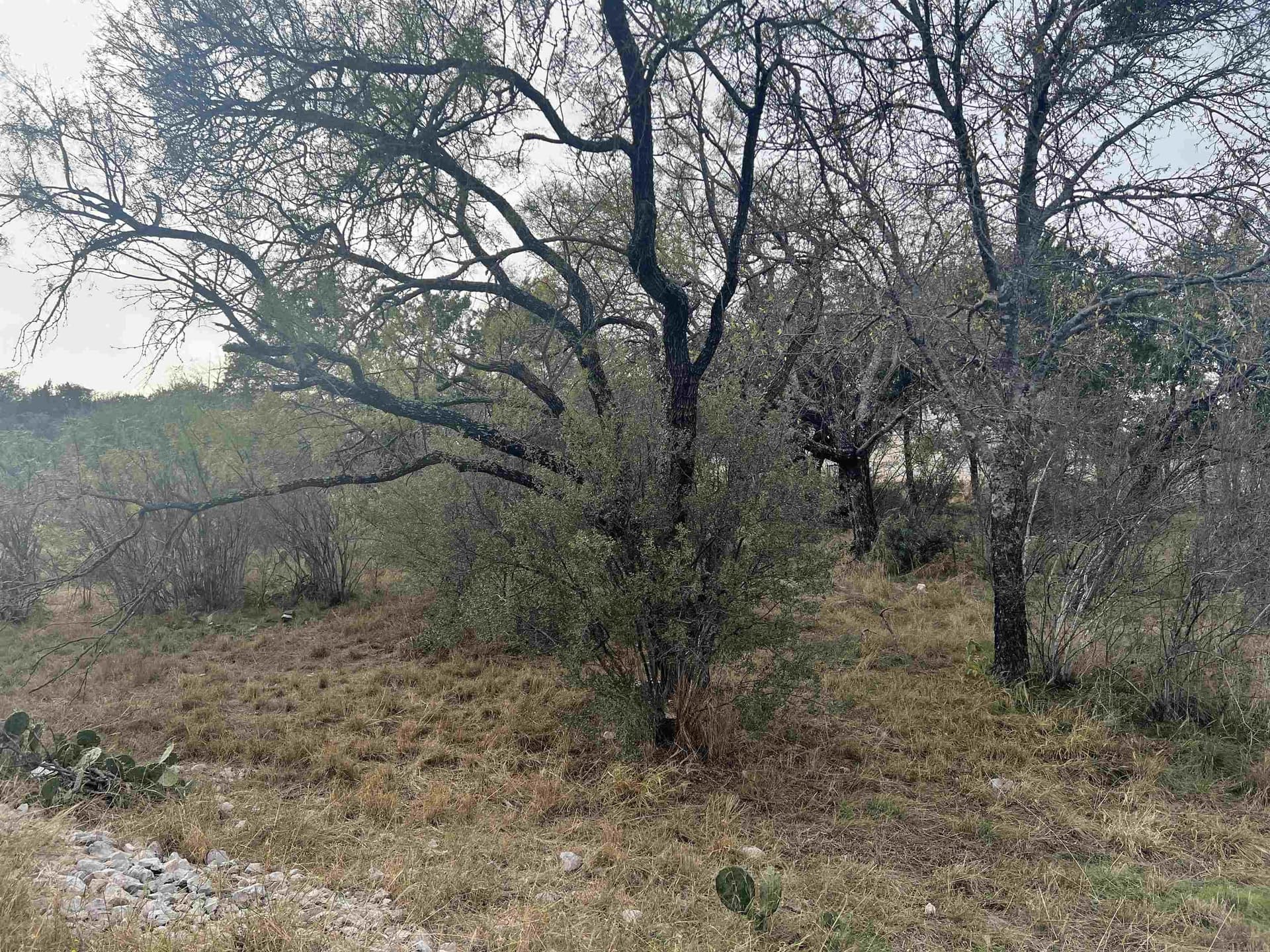 0.25 acres in Llano County - photo 9
