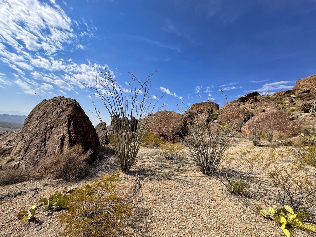 100 acres in Brewster County - photo 8