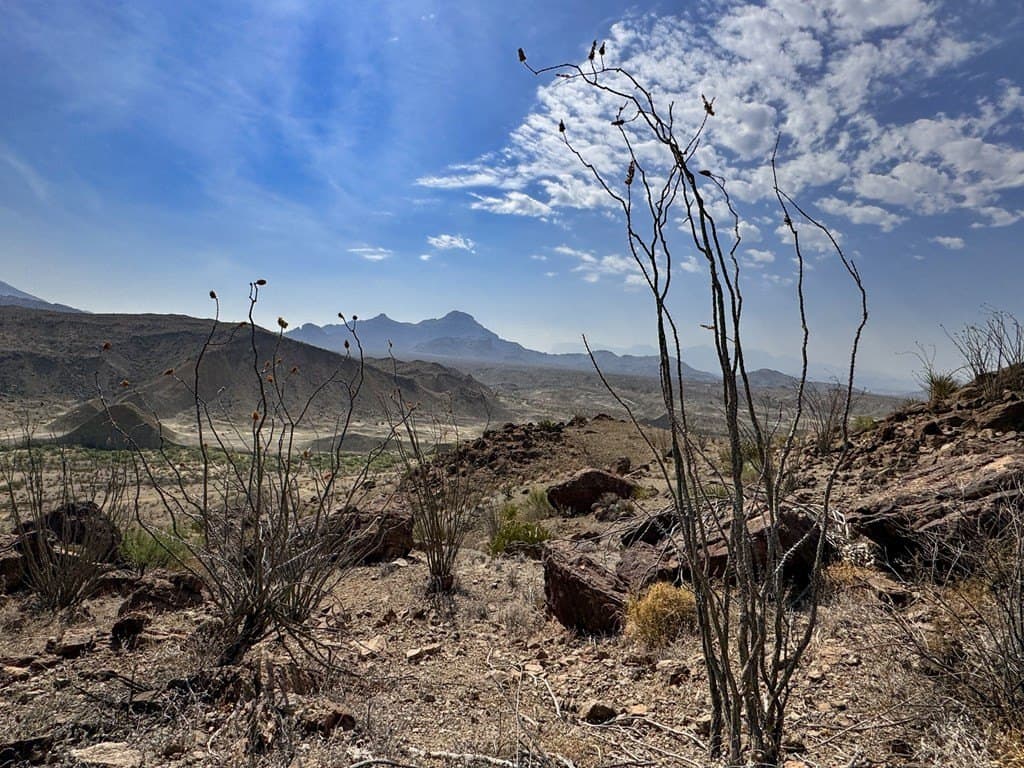100 acres in Brewster County - photo 20