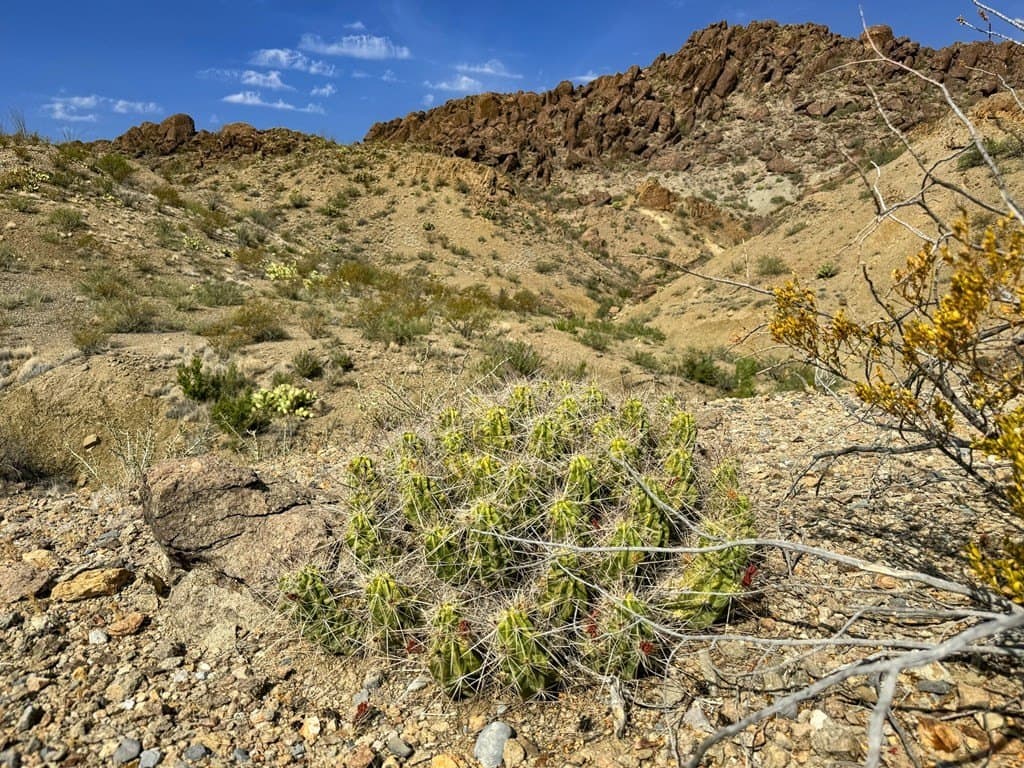 100 acres in Brewster County featured view