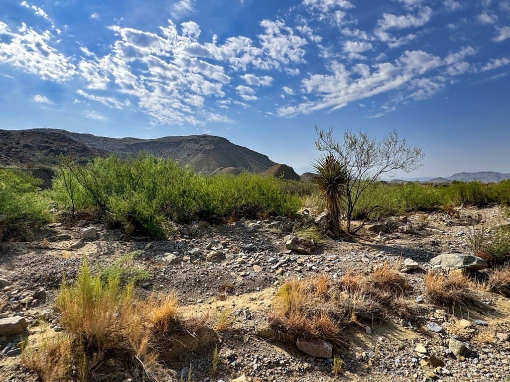 100 acres in Brewster County - photo 13
