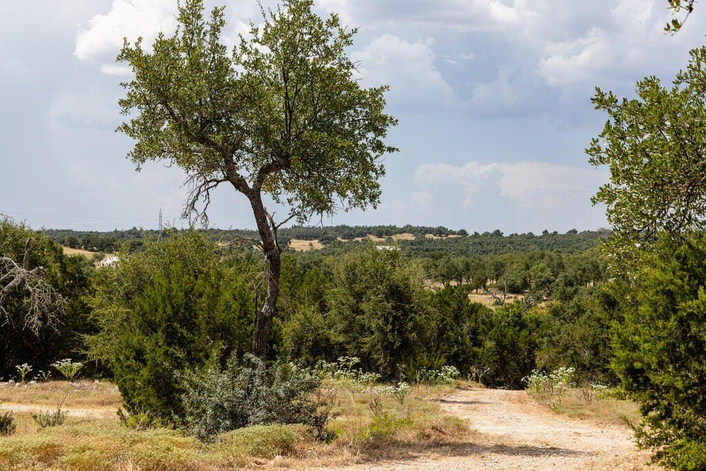 14.83 acres in Gillespie County - photo 10