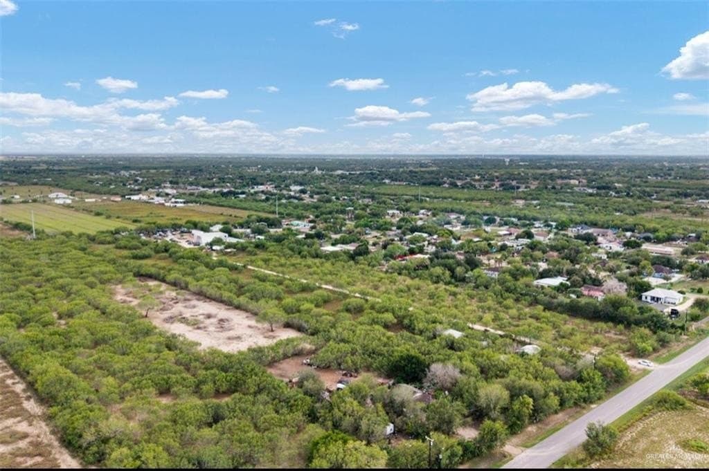 6.03 acres in Hidalgo County gallery image 4