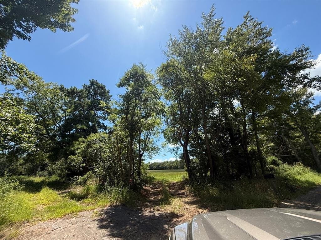 59.7 acres in Titus County featured view