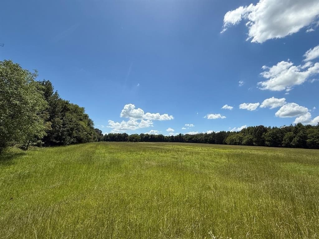 59.7 acres in Titus County
