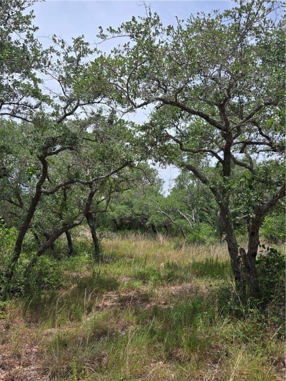 21.59 acres in Aransas County - photo 6