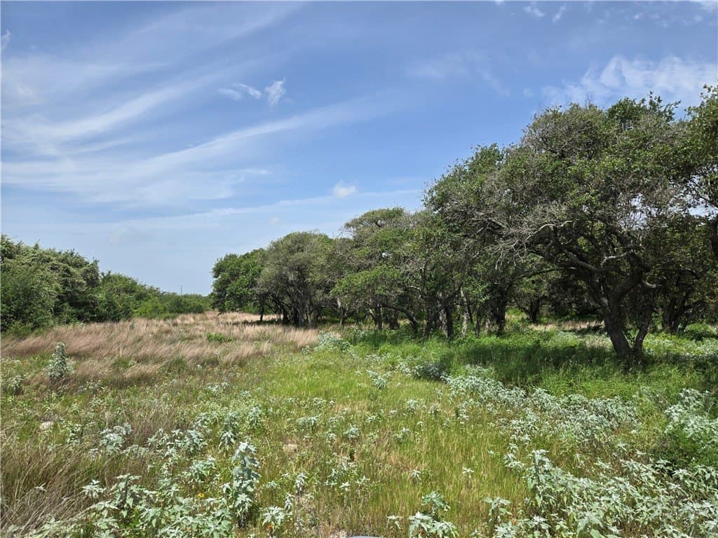 21.59 acres in Aransas County gallery image 3