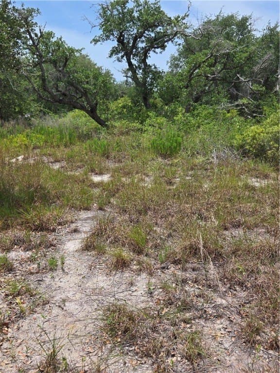 21.59 acres in Aransas County - photo 7