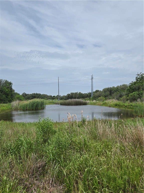 21.59 acres in Aransas County gallery image 4