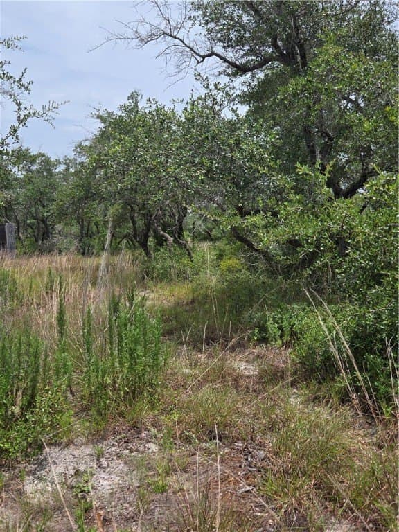 21.59 acres in Aransas County - photo 8
