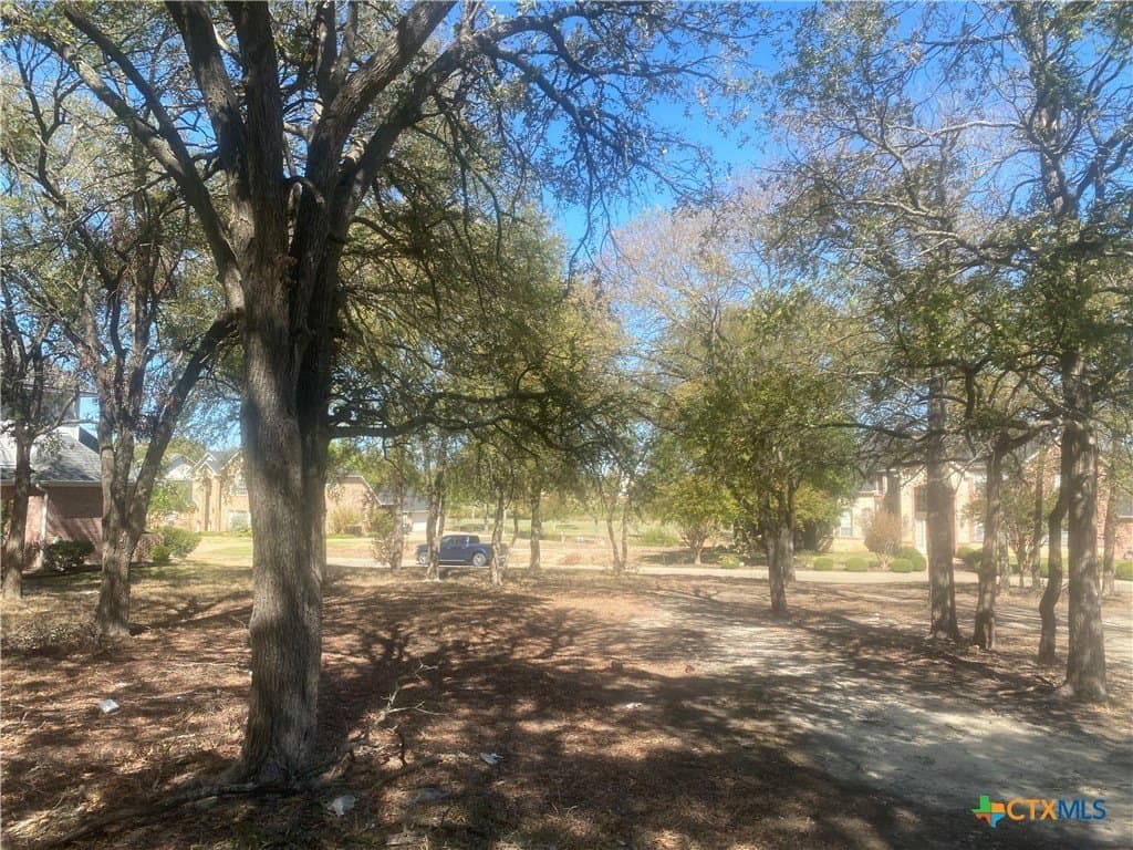 0.33 acres in Bell County gallery image 4