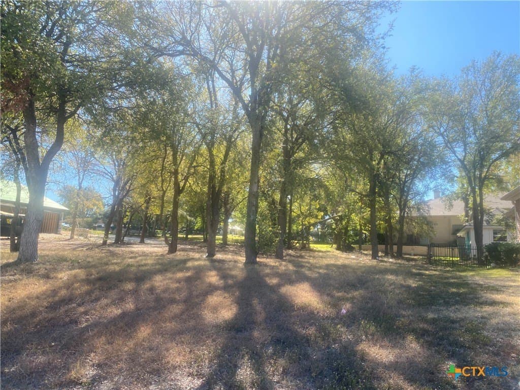 0.33 acres in Bell County gallery image 2