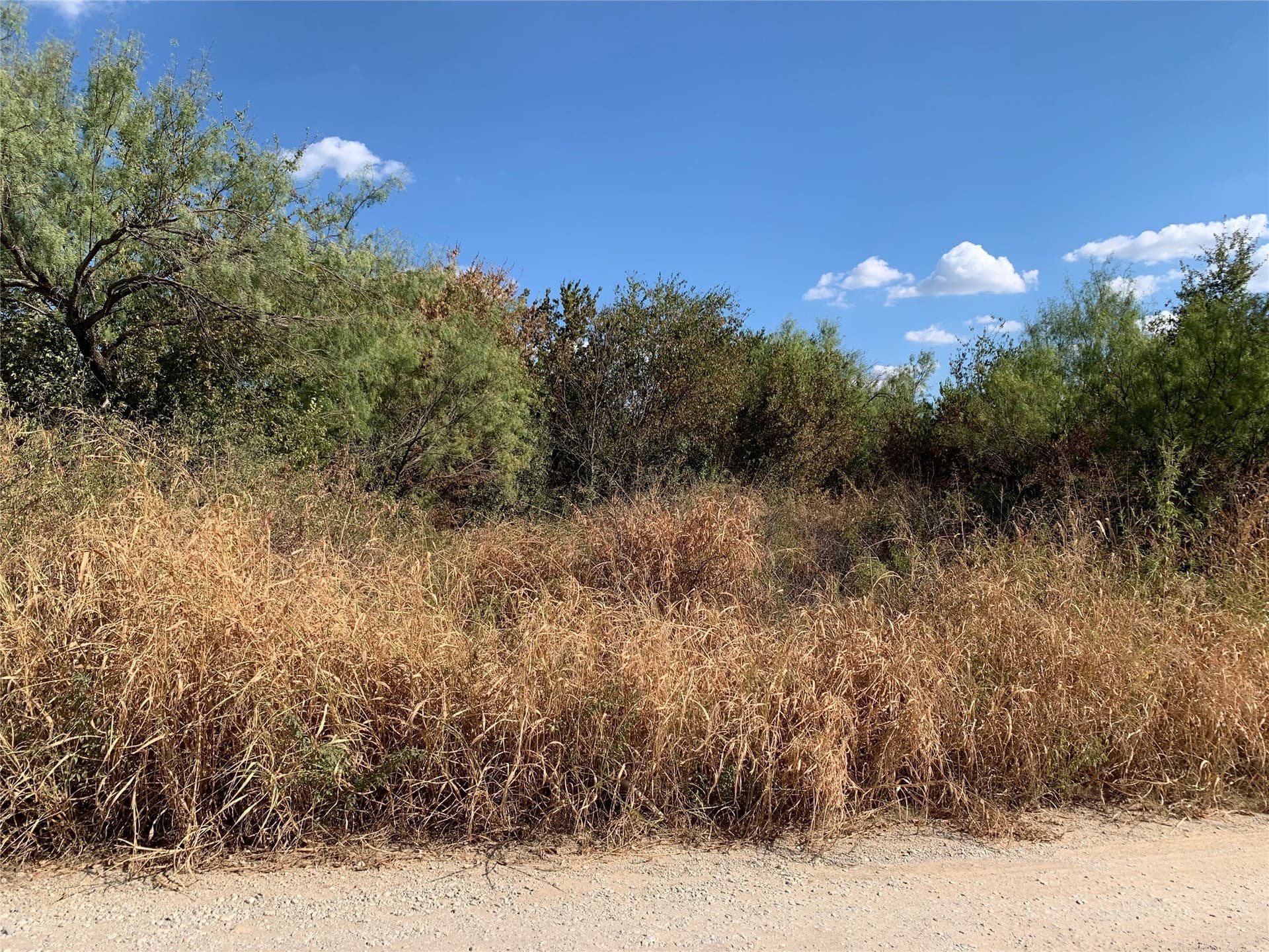 0.27 acres in Wise County - photo 2