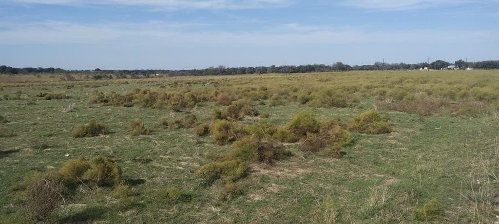 10.01 acres in Comanche County gallery image 4