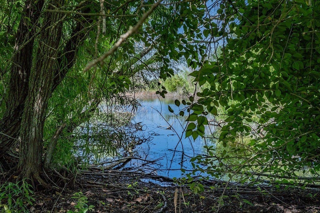 76.5 acres in Fayette County - photo 17