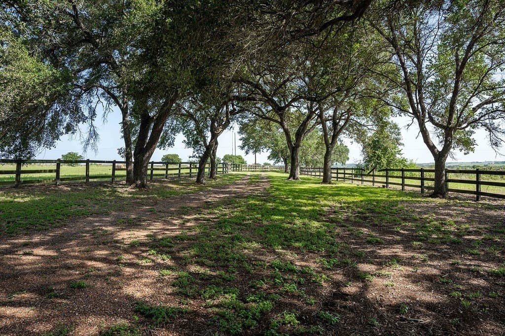 76.5 acres in Fayette County gallery image 3
