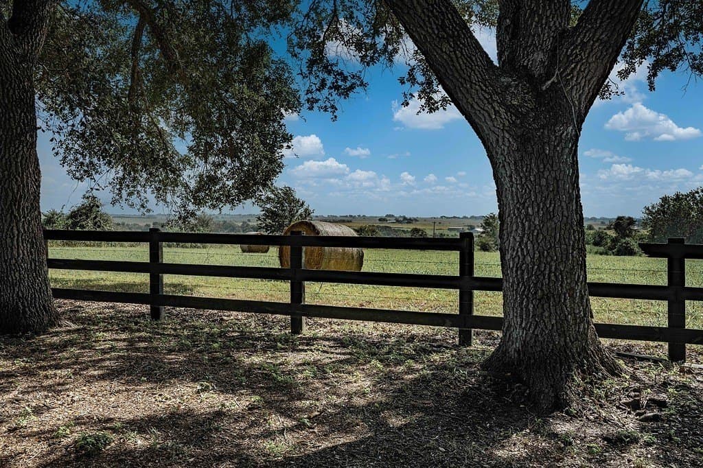76.5 acres in Fayette County gallery image 2