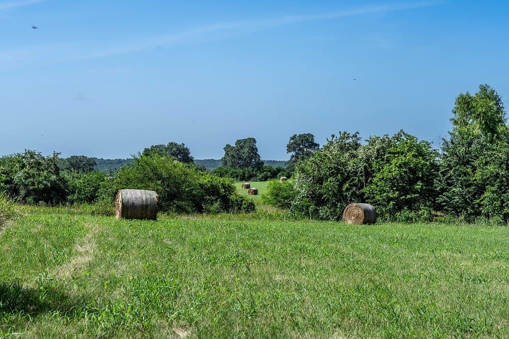 76.5 acres in Fayette County - photo 19