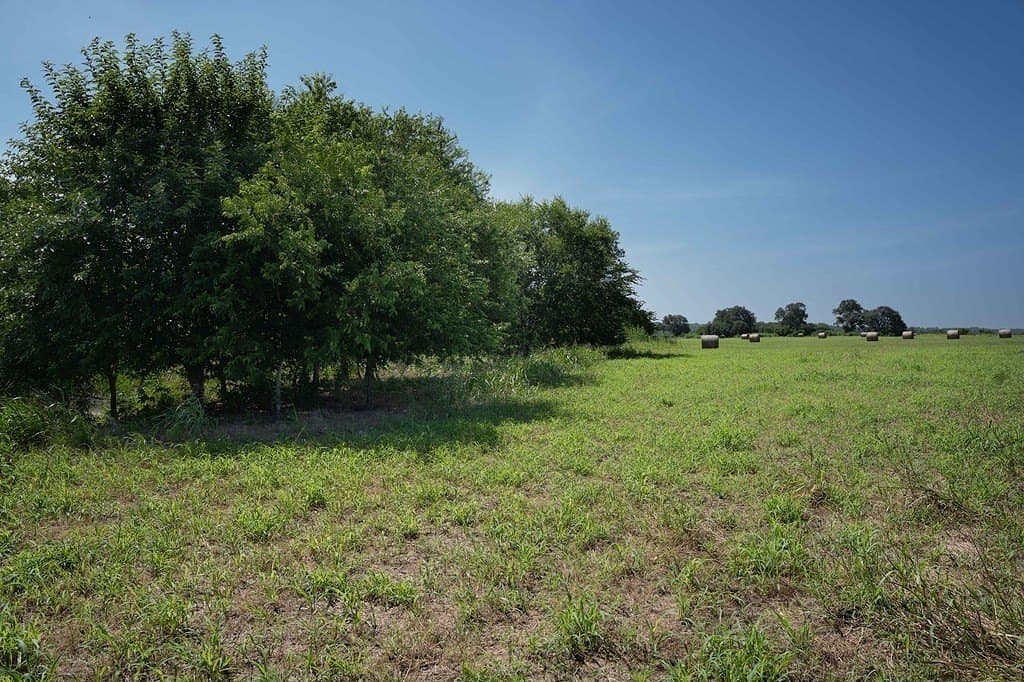 76.5 acres in Fayette County - photo 22