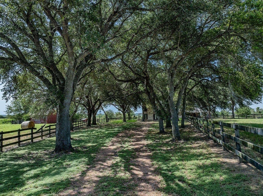 76.5 acres in Fayette County gallery image 4