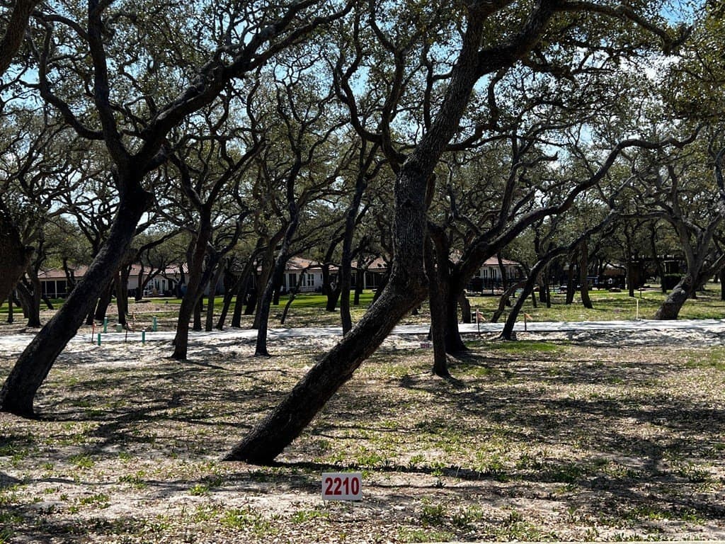 0.1 acres in Texas County gallery image 2