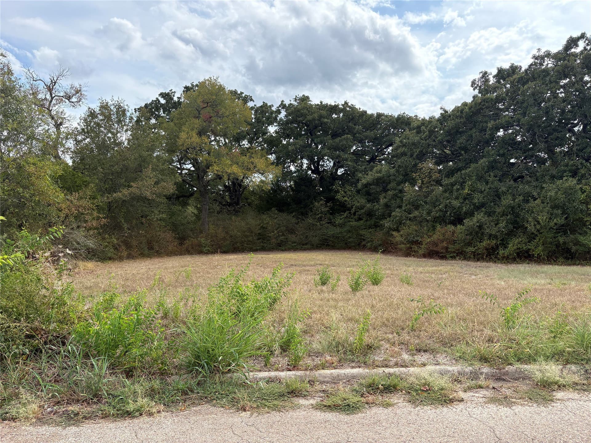 0.7 acres in Hunt County - photo 2