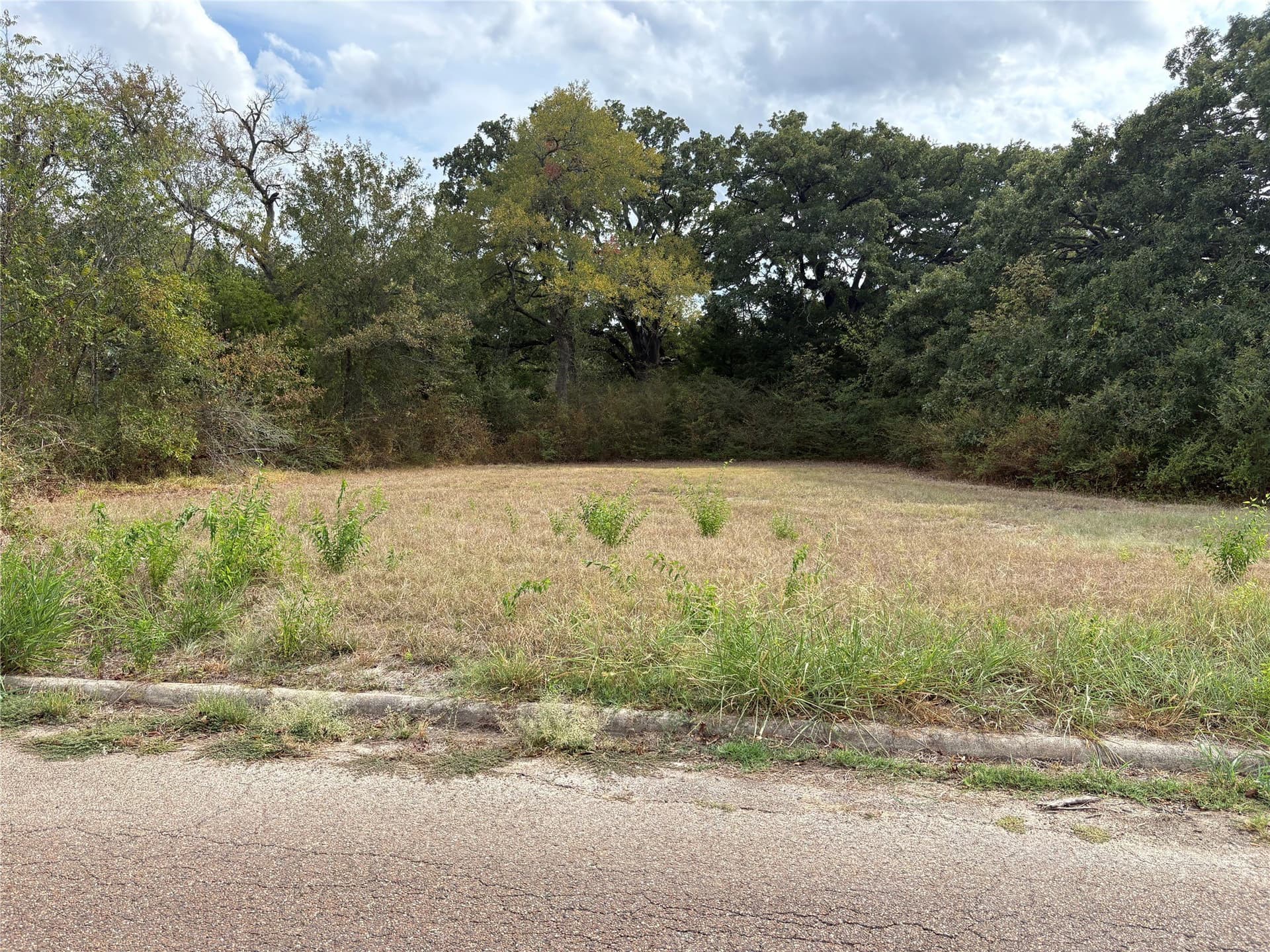 0.7 acres in Hunt County - photo 3