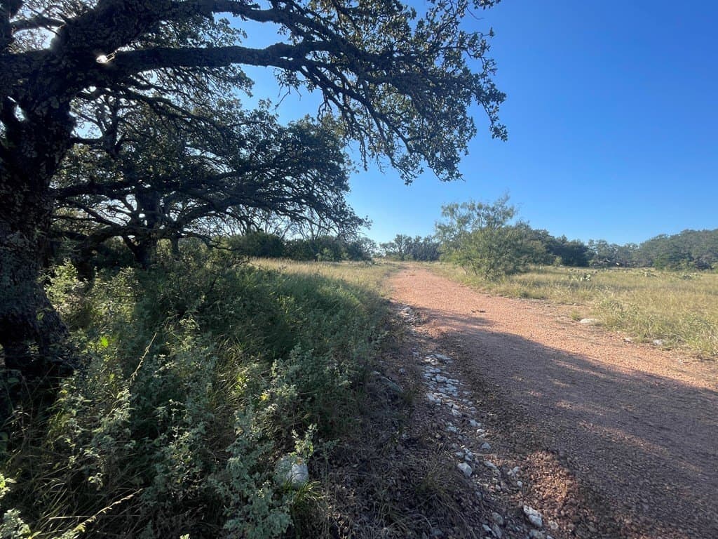20.17 acres in Menard County gallery image 3