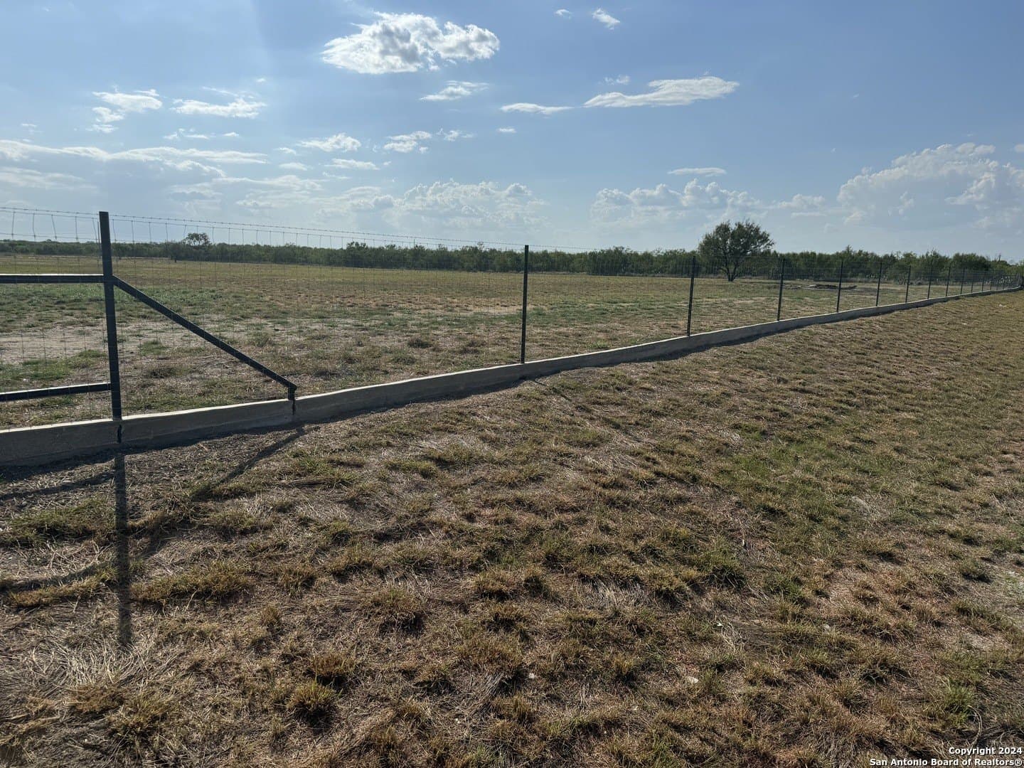 10 acres in Zavala County gallery image 4
