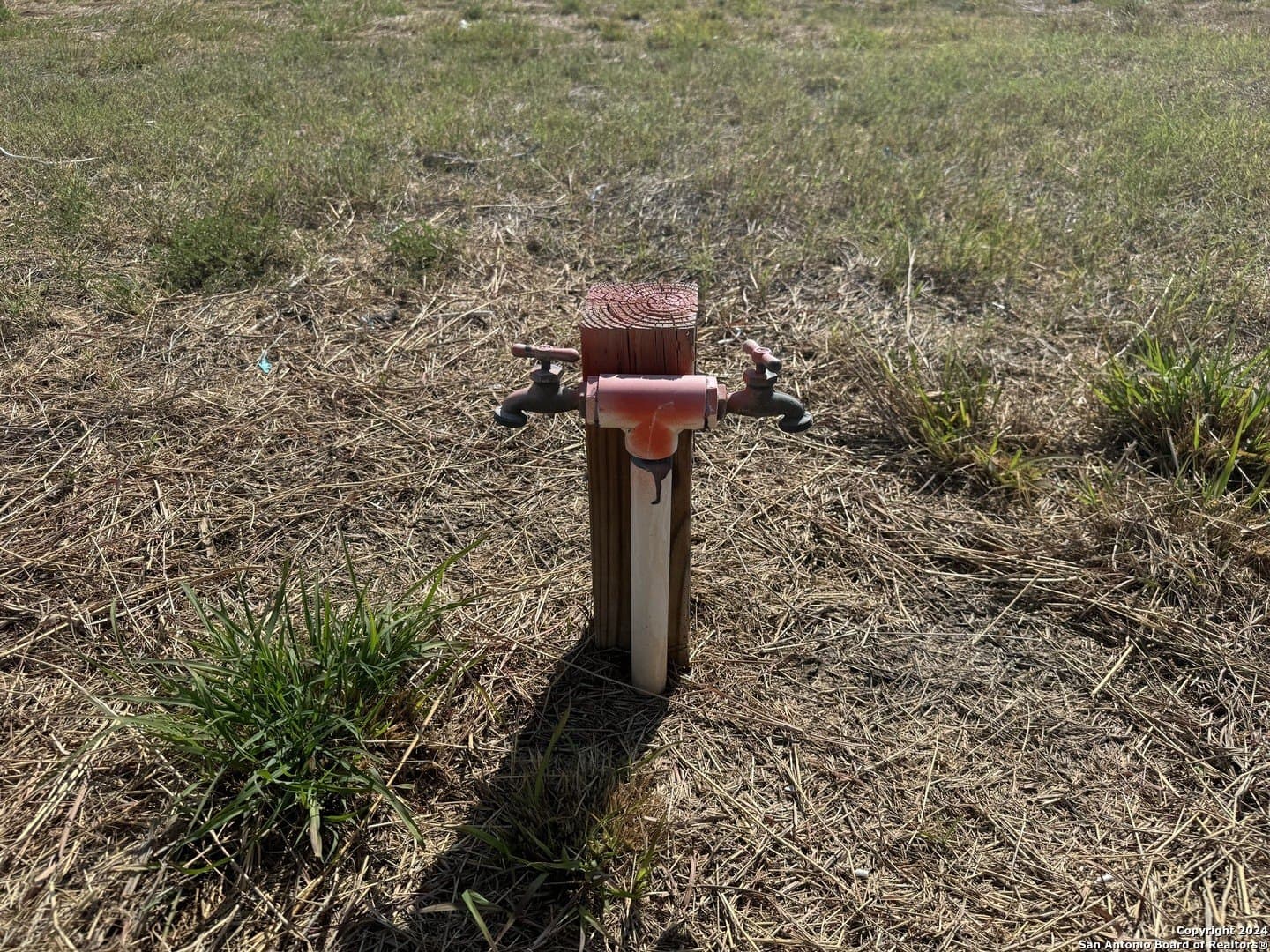 10 acres in Zavala County - photo 12