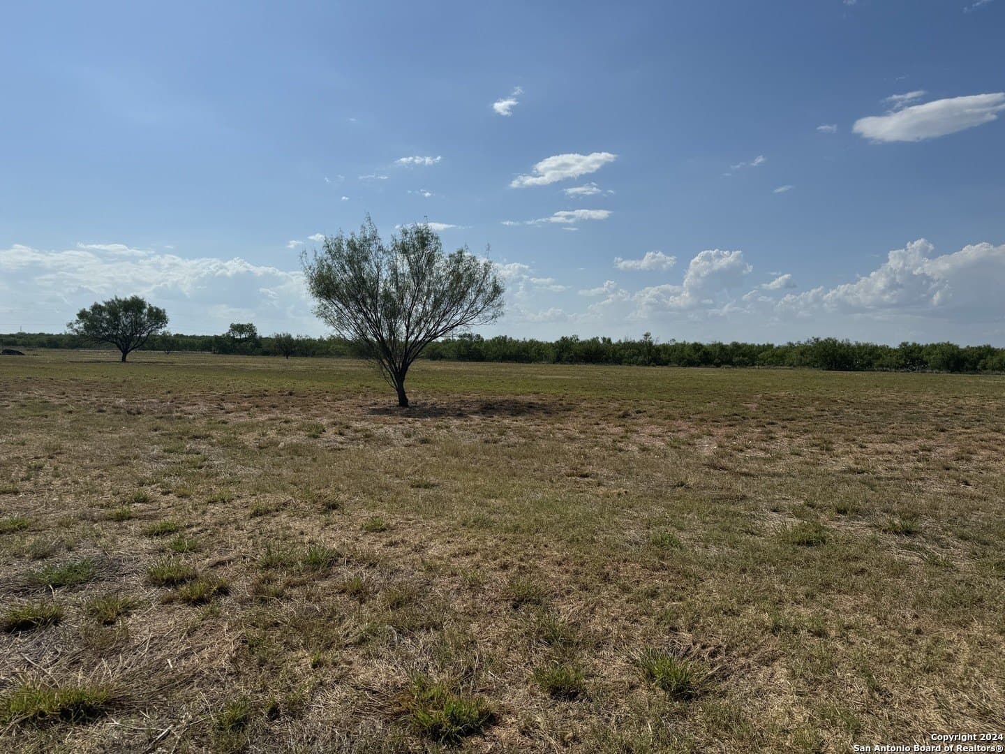 10 acres in Zavala County gallery image 2