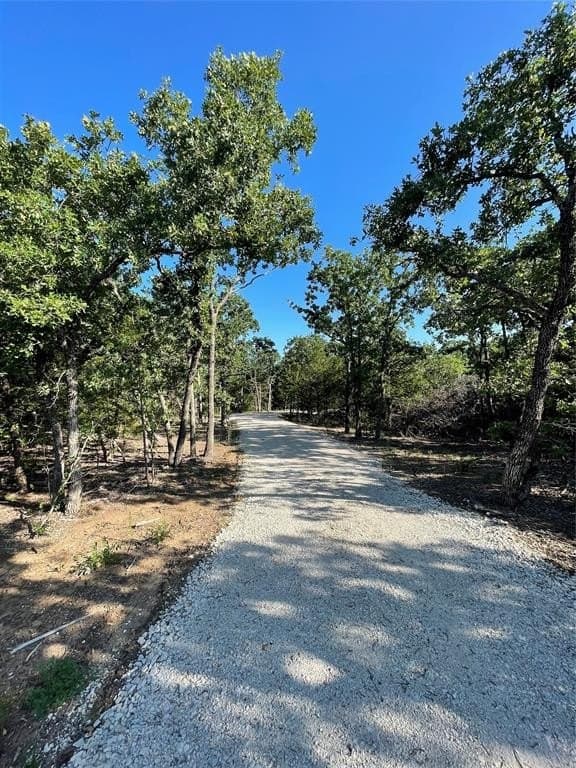 5 acres in Cooke County gallery image 4