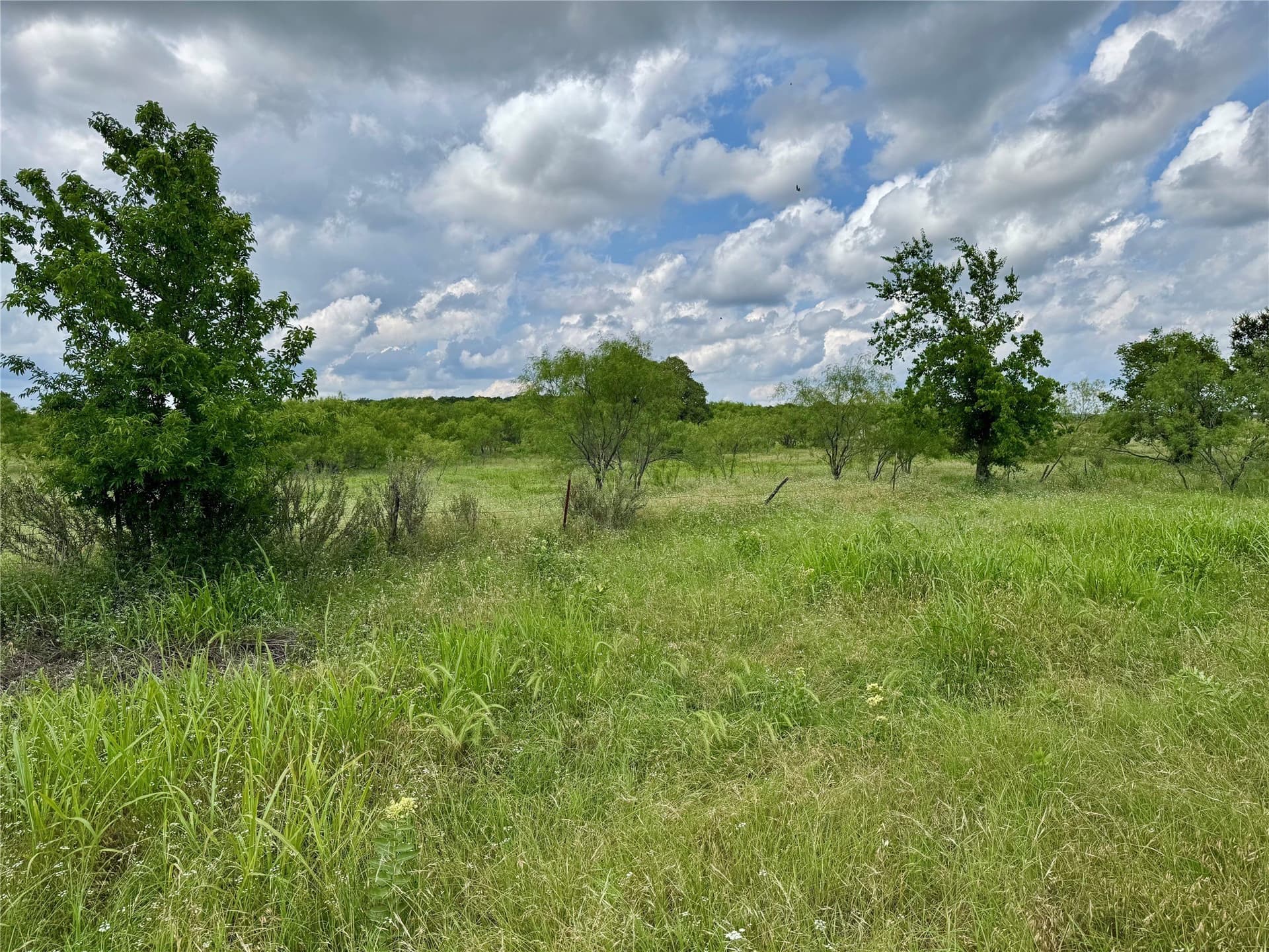 6.54 acres in Palo Pinto County - photo 10