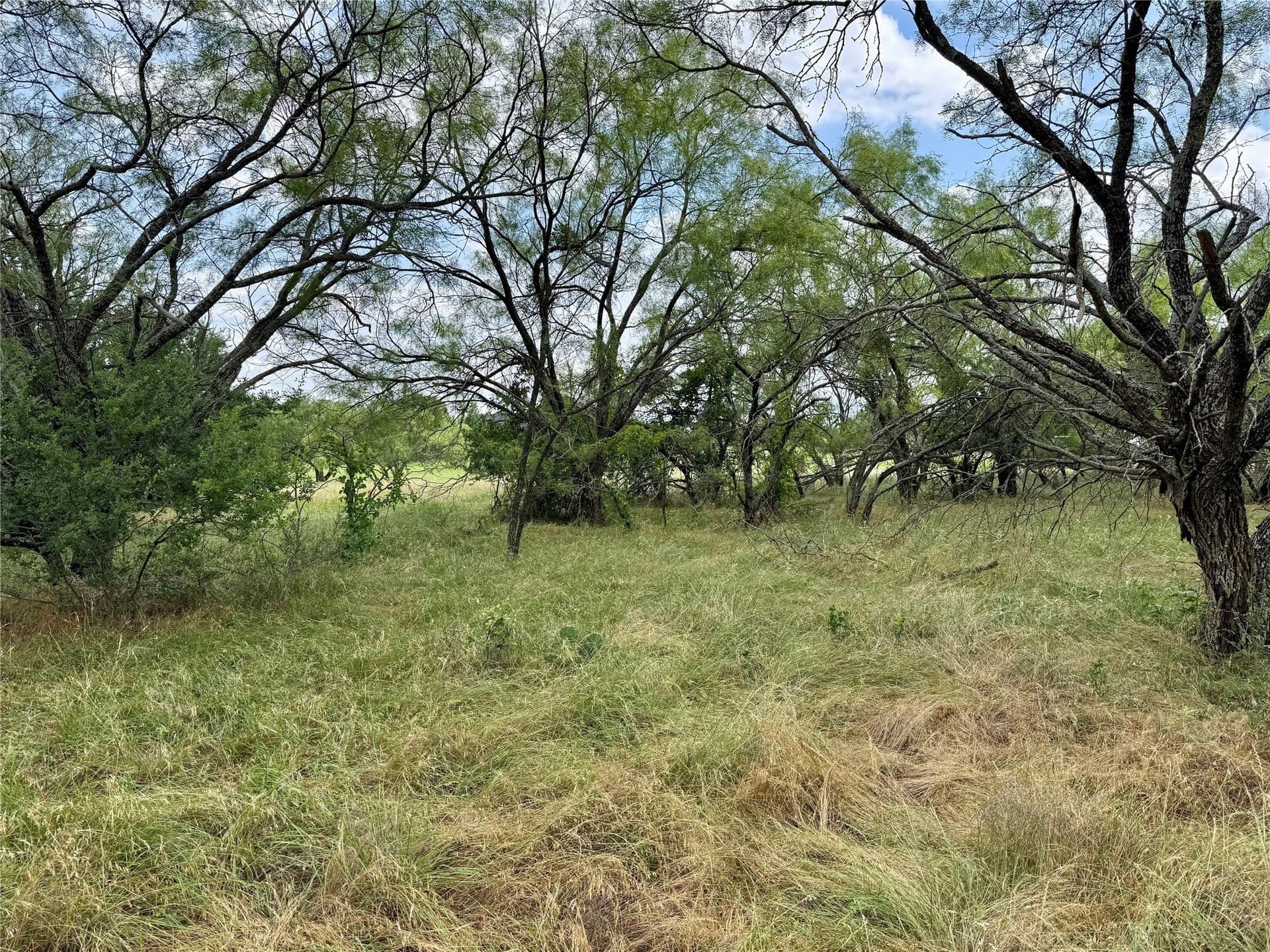 6.54 acres in Palo Pinto County - photo 13