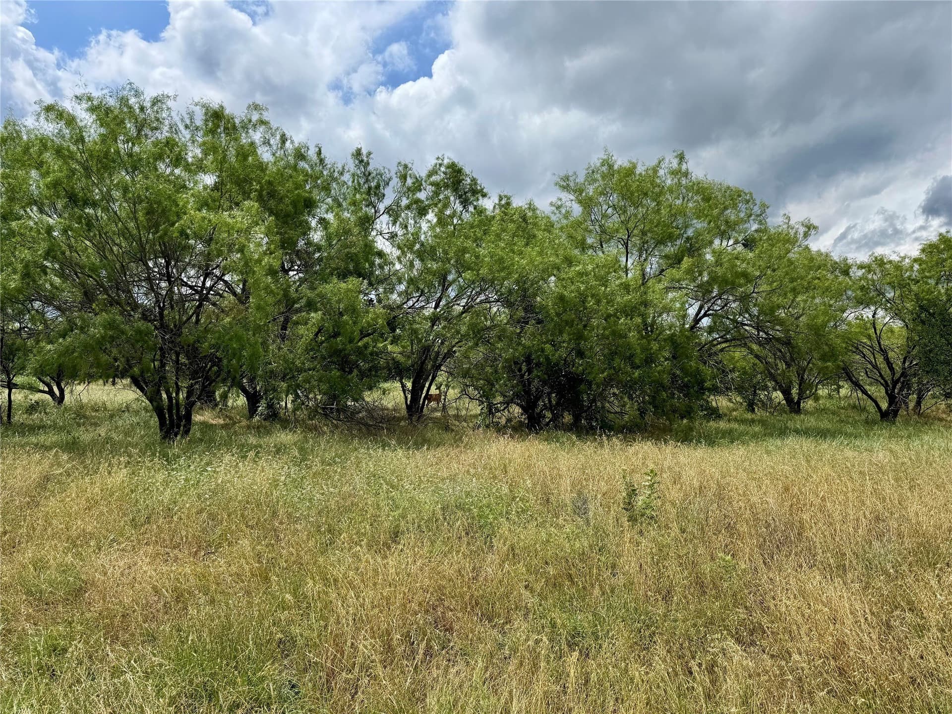 6.54 acres in Palo Pinto County - photo 7